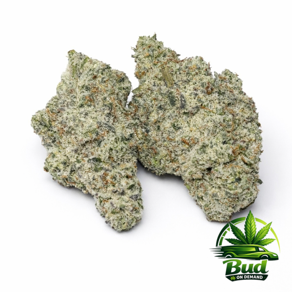 Alien Cookies, (AAAA+), 31% THC