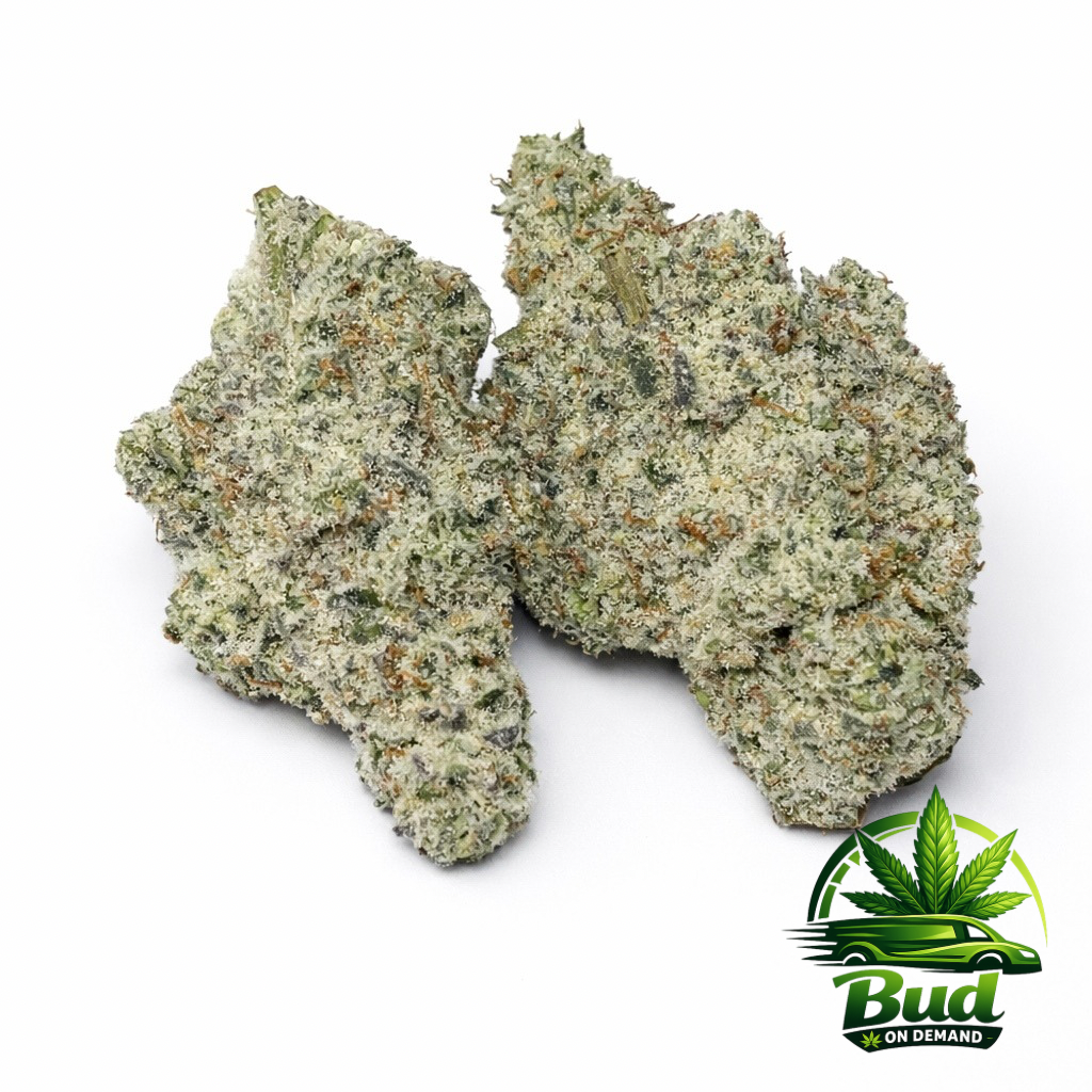 Alien Cookies, (AAAA+), 31% THC