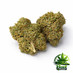 Galactic Jack, (AAA+), 26% THC