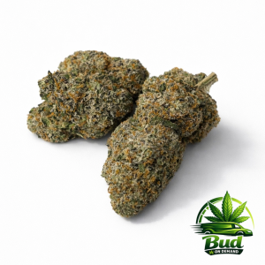 Jet Fuel, (AAAA), 29%THC