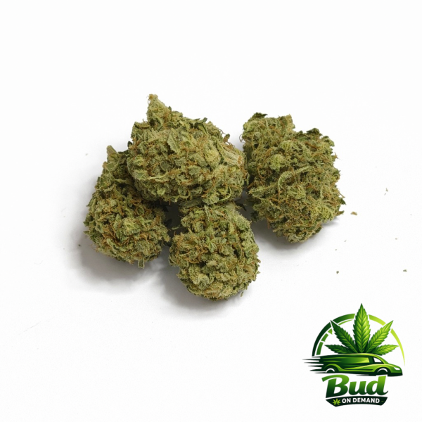 Jasmine Cat Piss, (AA), 22% THC