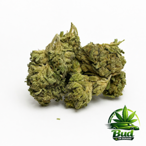 Cannabis Strain, Mexican Flan