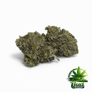 Pink Venom, (AAAA+), 31% THC