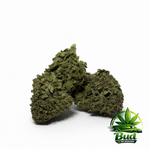 Purple Kush, (AA), 23% THC