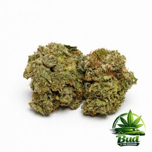 Cannabis Strain, Rockstar