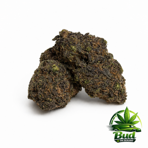 Blackcherry Soda Cannabis Strain