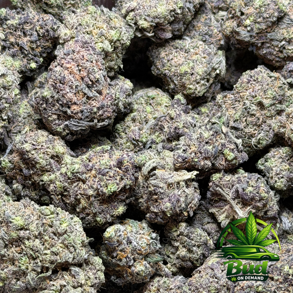 Blackcherry Soda Cannabis Strain Full Bag Photo