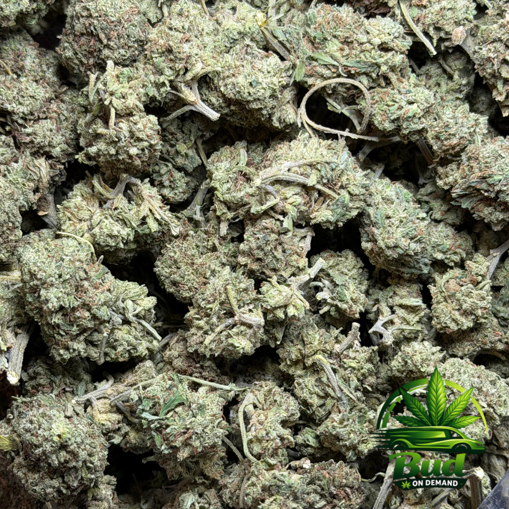 Blueberry Bag Photo Cannabis Strain