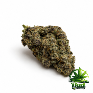 Granddaddy Purple Cannabis Strain
