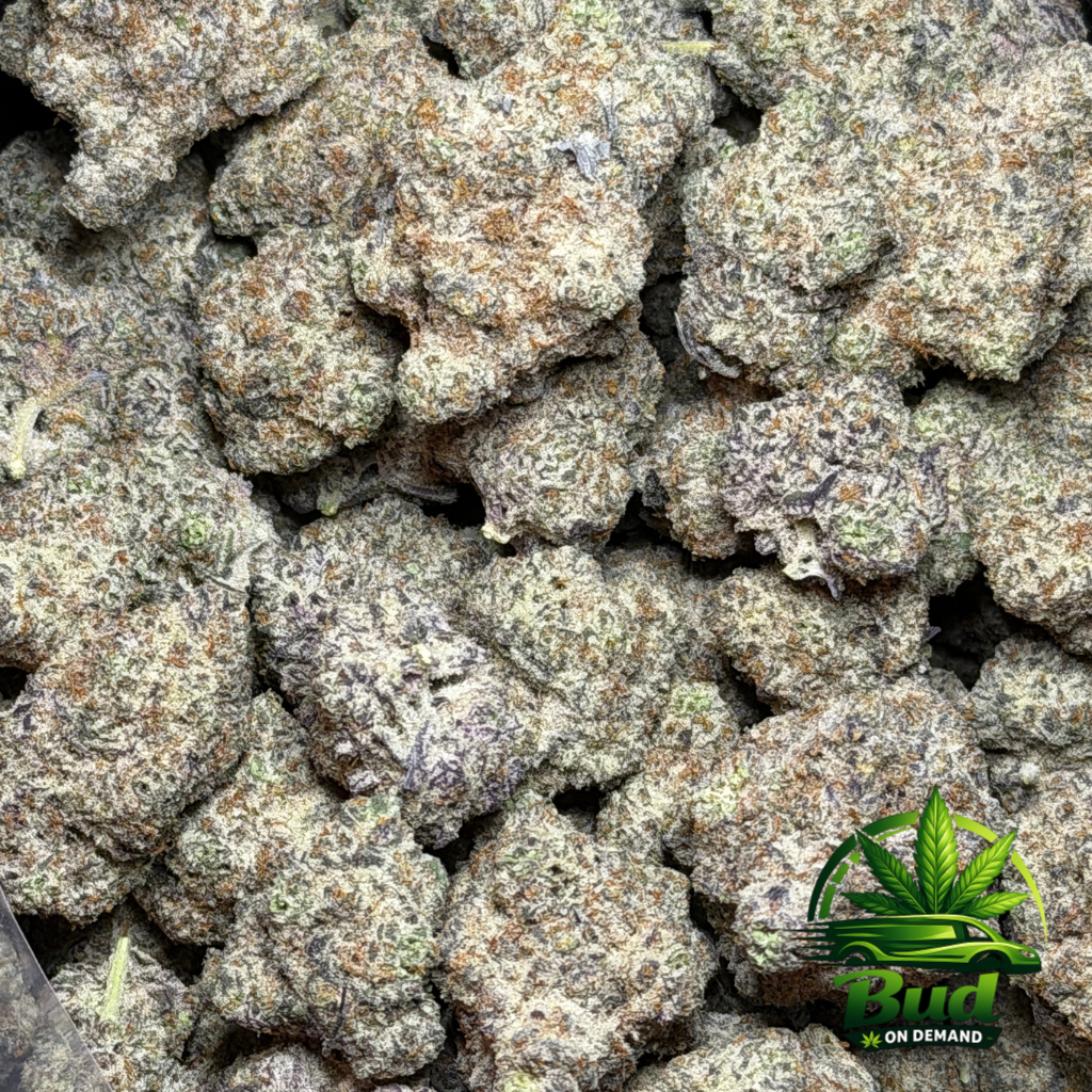 Oreoz Cannabis Strain Full Bag Photo