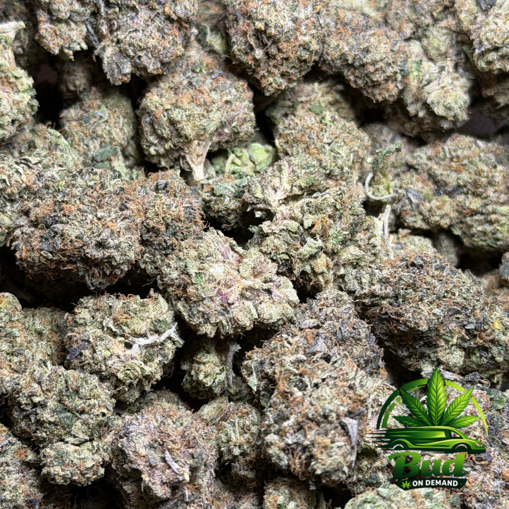 Pink Rockstar Cannabis Strain Bag Photo