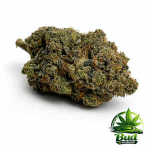Pink Floyd Cannabis Strain
