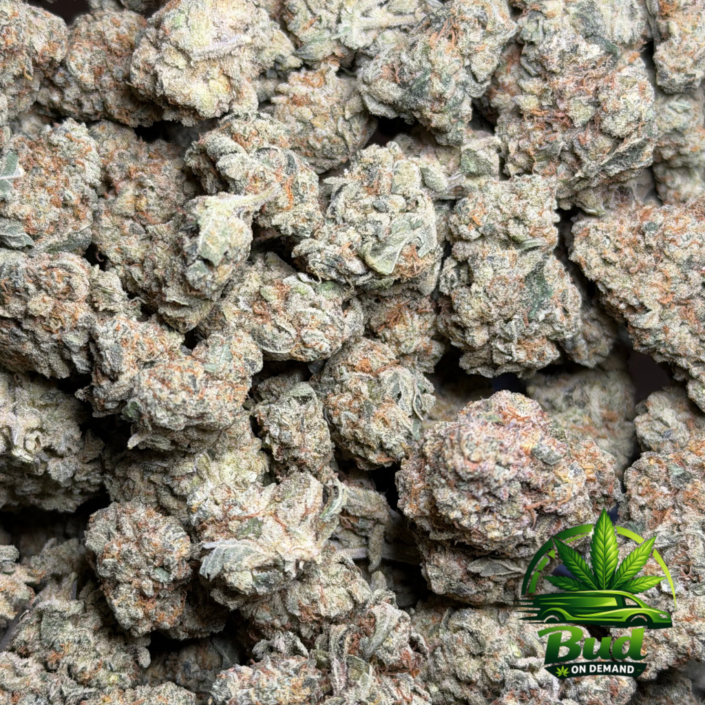 Platinum Punch Cannabis Strain Bag