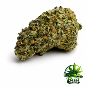 Watermelon Runtz Cannabis Strain