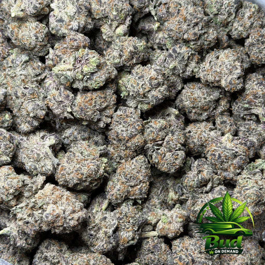 White Truffle Icecream, (AAAA), 28% THC - Image 2