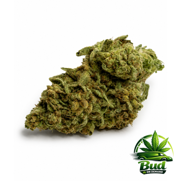 cereal milk cannabis strain