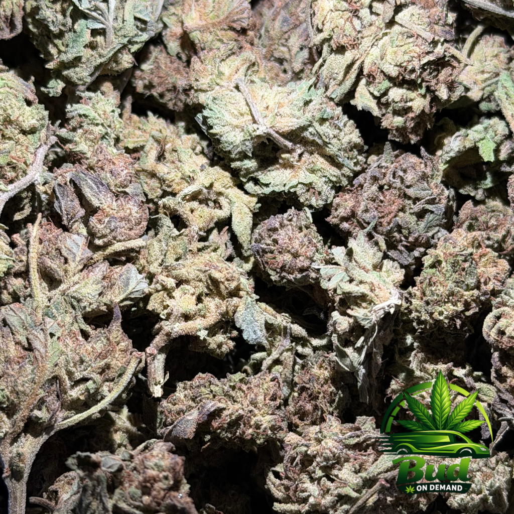 Cereal Milk, (AA), 25% THC - Image 2