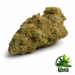 frozen grapes cannabis strain