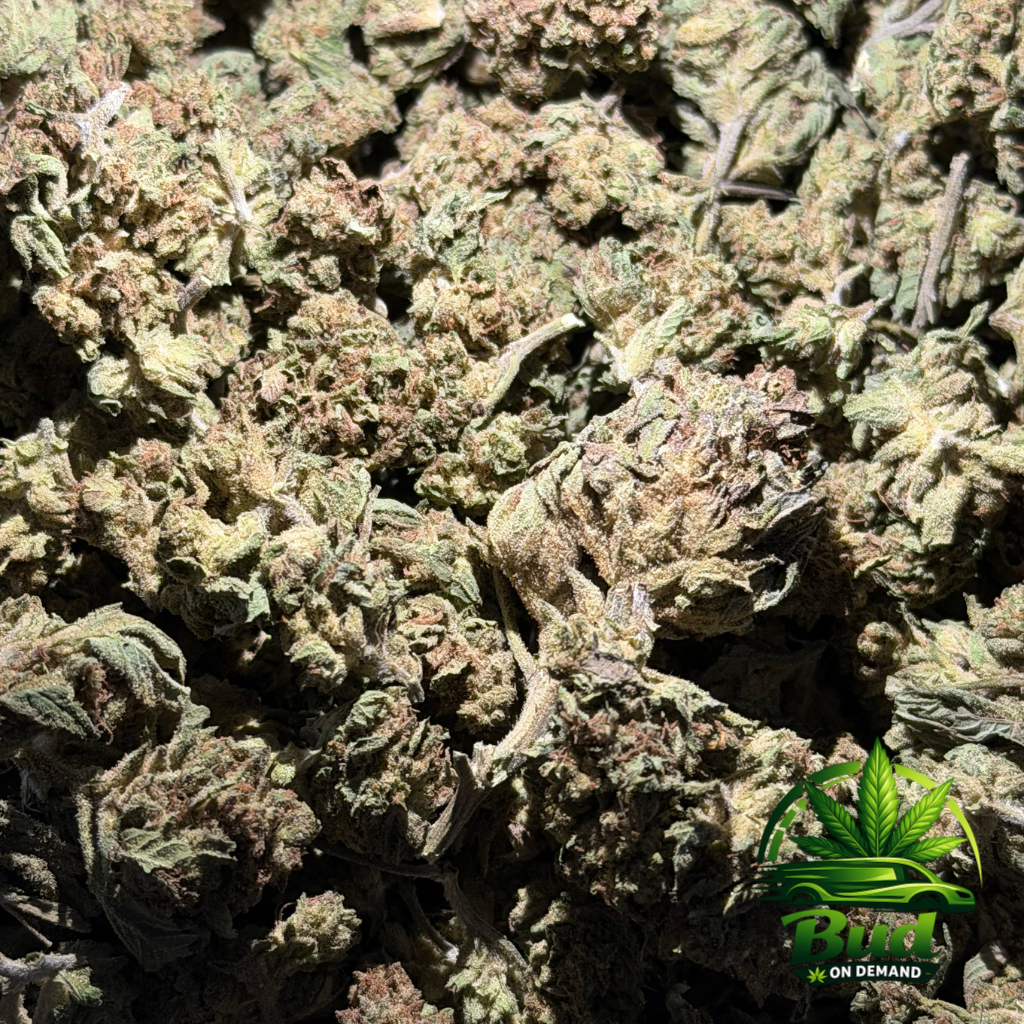 Ghost Train Haze, (AA), 24% THC - Image 2