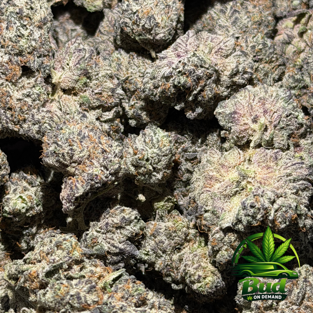 (LSO) Icecream Cake, (AAAA+), 31% THC - Image 2