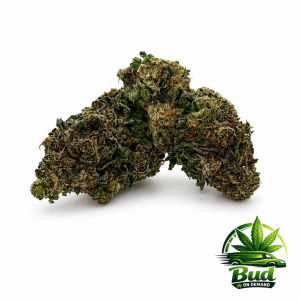 Ken Star, (AAA+), 28% THC