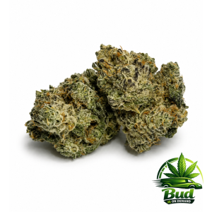 kush mints cannabis strain