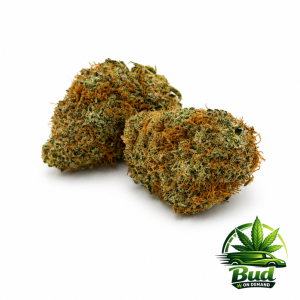 Lemon Cherry Gelato, (AAA+), 29% THC