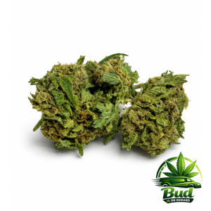 white og cannabis strain