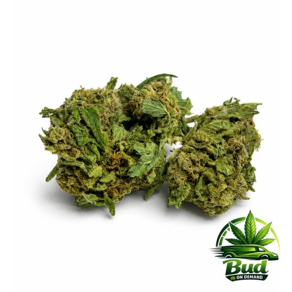 white og cannabis strain