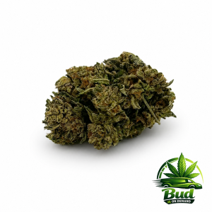 Cindy 99, (AA), 26% THC
