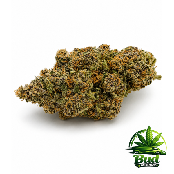Jokers Candy, (AAA+), 31% THC