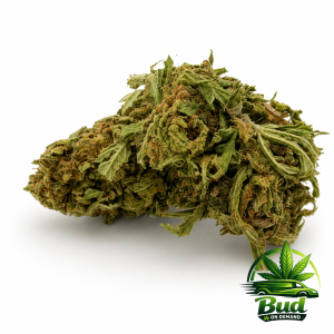 Mean Green, (AA), 23% THC