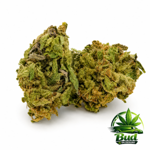 Northern Lights, (AA), 27% THC