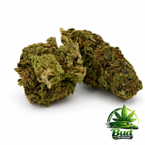 Red Carpet Runtz, (AA), 26% THC