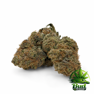 Blue Cheese Diesel, (AAA+) 31% THC