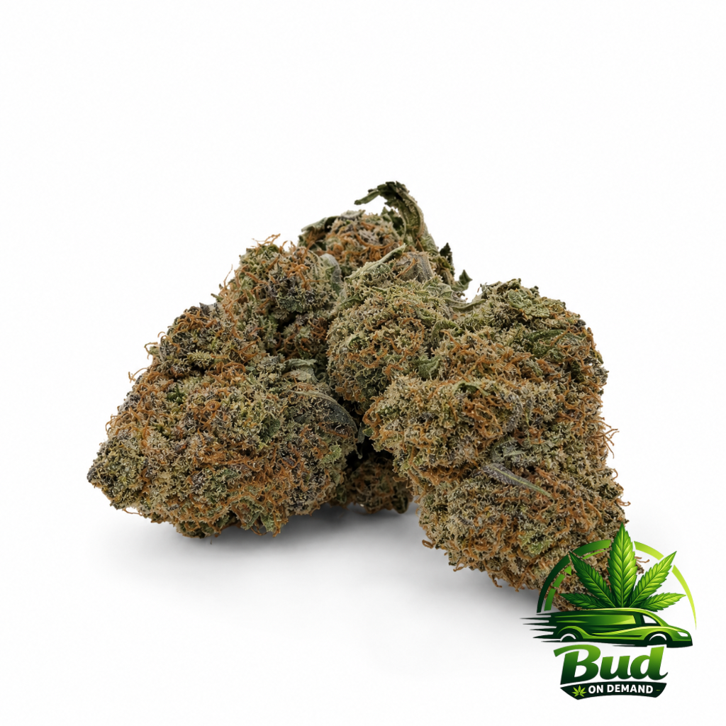Blue Cheese Diesel, (AAA+) 31% THC