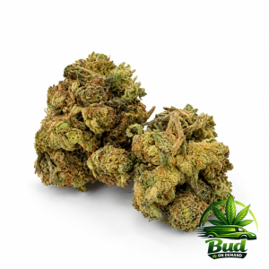 Girl Scout Cookies, (AA), 27% THC