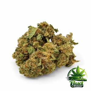 Animal Cookies, (AA), 27% THC