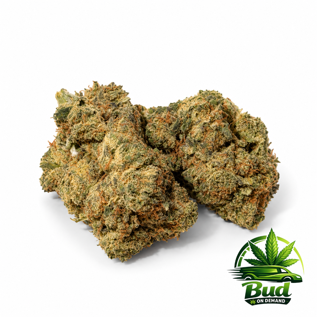 Black Cherry Gelato, (AAAA+), 33% THC