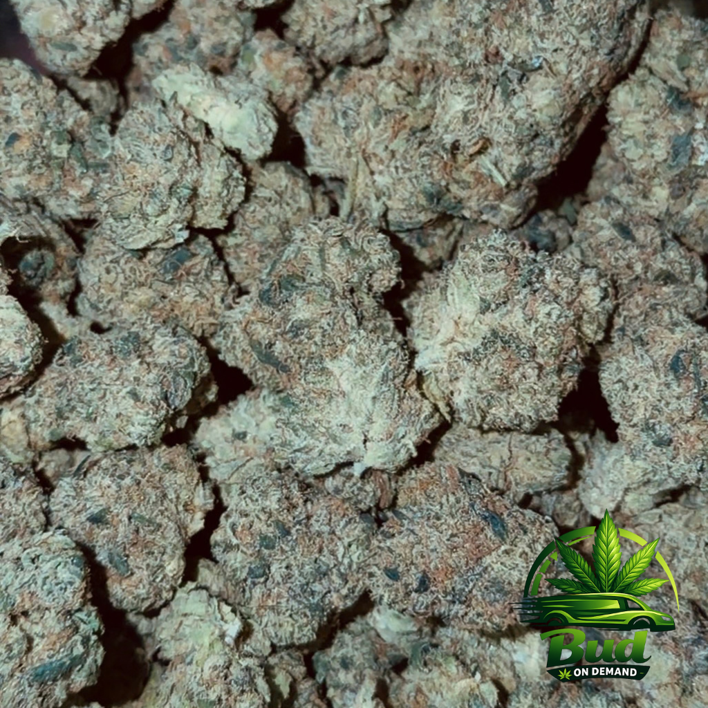 Black Cherry Gelato, (AAAA+), 33% THC - Image 2